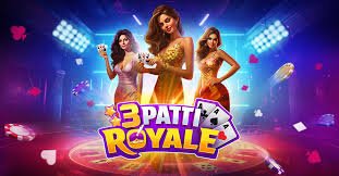 y71 Live Casino